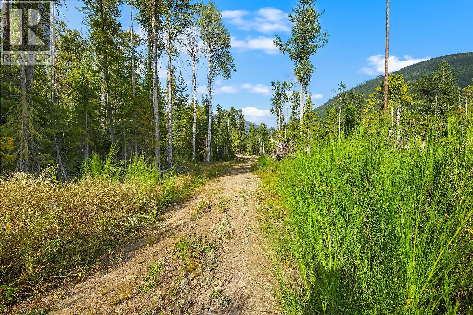 Lot A Wadds Road, Crawford Bay, British Columbia  V0B 1E0 - Photo 6 - 10360049