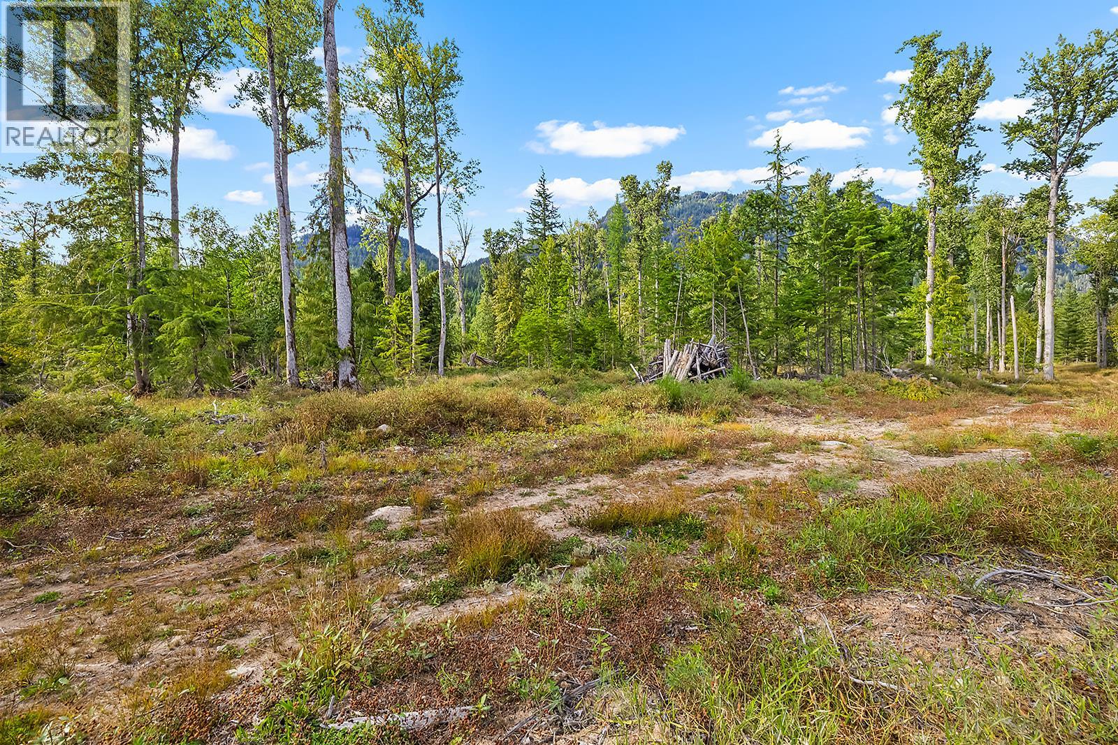 Lot A Wadds Road, Crawford Bay, British Columbia  V0B 1E0 - Photo 8 - 10360049