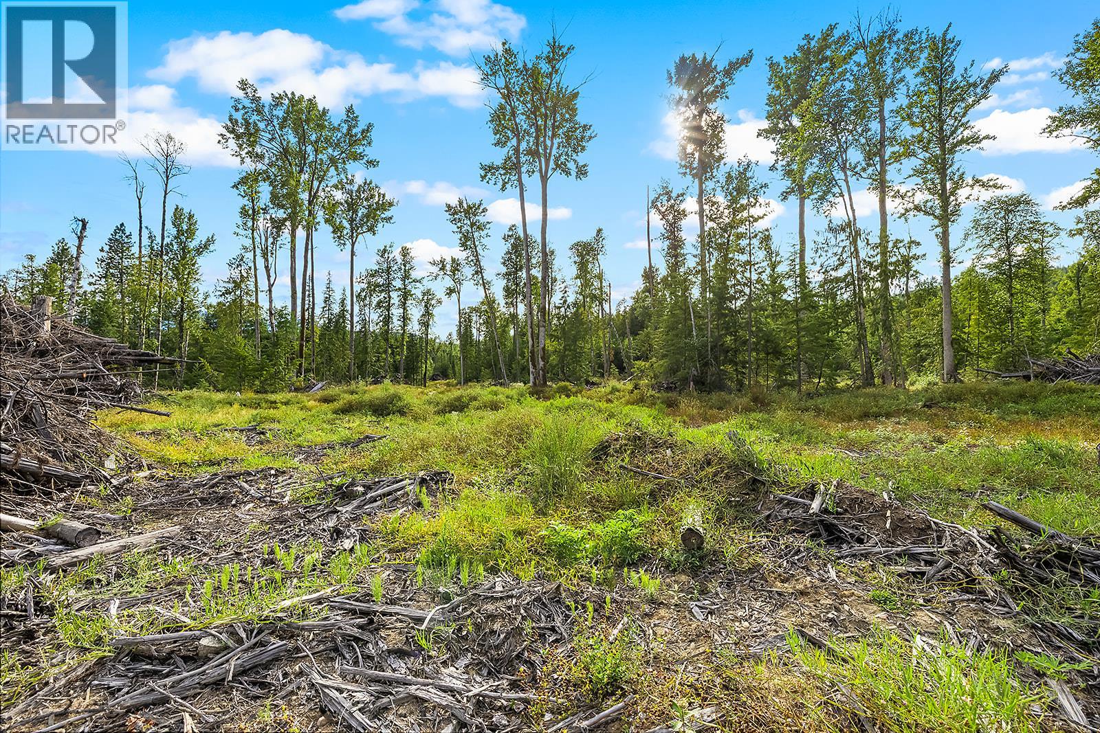 Lot A Wadds Road, Crawford Bay, British Columbia  V0B 1E0 - Photo 9 - 10360049