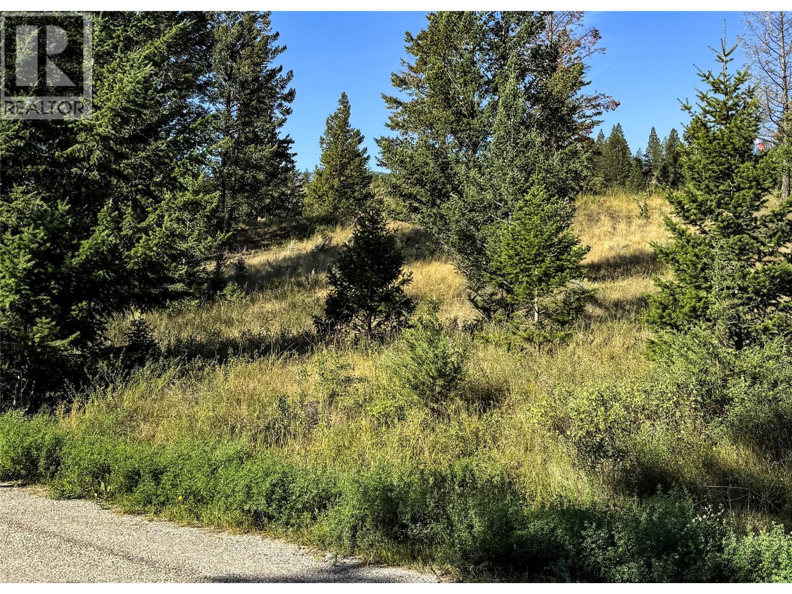 Columbia Estates Road Lot# Lot 13, Fairmont Hot Springs, British Columbia  V0B 1L2 - Photo 4 - 10360106
