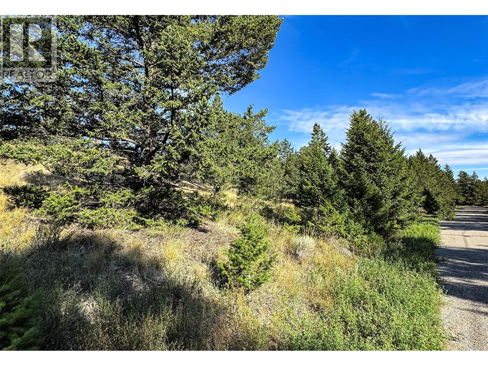 Columbia Estates Road Lot# Lot 13, Fairmont Hot Springs, British Columbia  V0B 1L2 - Photo 5 - 10360106