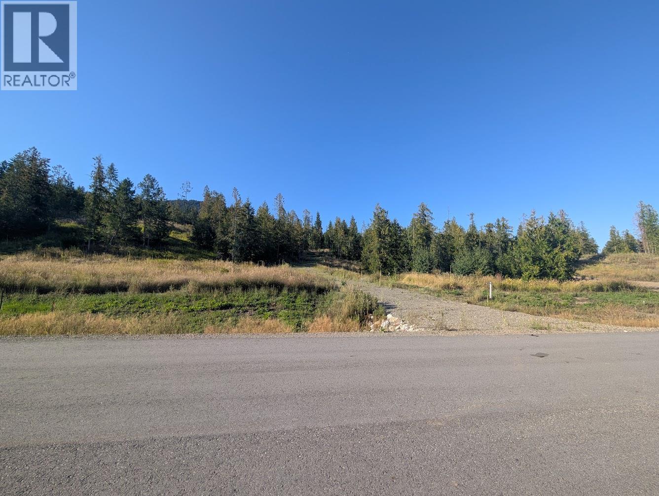 273 Dorothy Road Lot# 7, Lumby, British Columbia  V0E 2G5 - Photo 4 - 10360455