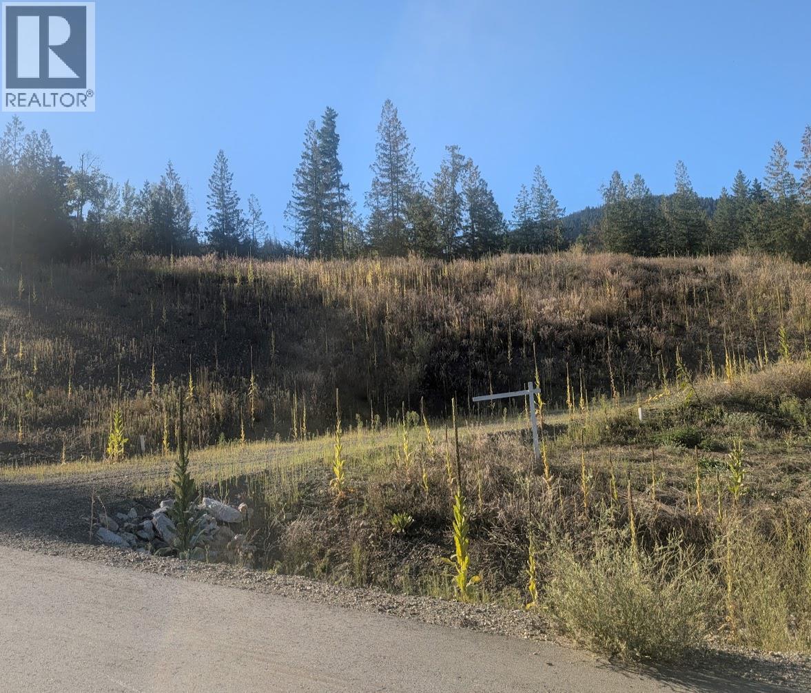 281 Dorothy Road Lot# 6, Lumby, British Columbia  V0E 2G5 - Photo 3 - 10360454