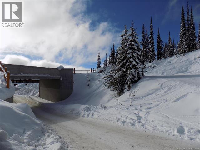 5940 Snow Pines Way Unit# 23, Big White, British Columbia  V1P 1P3 - Photo 11 - 10360091