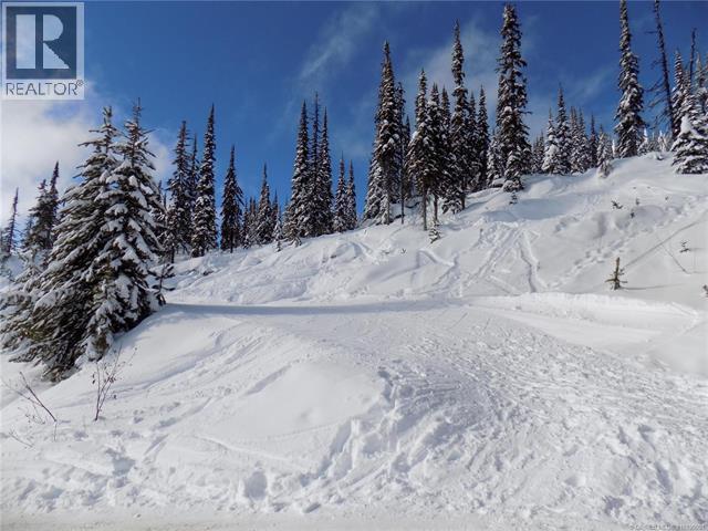 5940 Snow Pines Way Unit# 23, Big White, British Columbia  V1P 1P3 - Photo 12 - 10360091