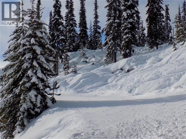 5940 Snow Pines Way Unit# 23, Big White, British Columbia  V1P 1P3 - Photo 13 - 10360091