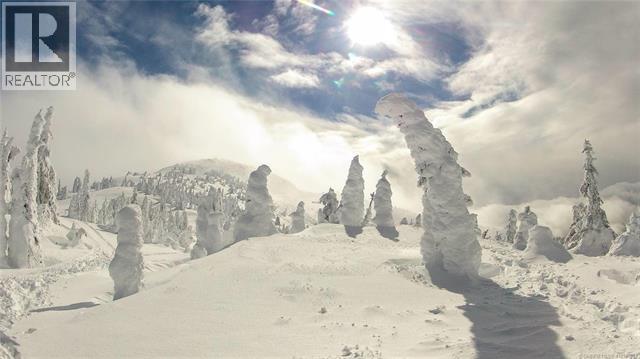 5940 Snow Pines Way Unit# 23, Big White, British Columbia  V1P 1P3 - Photo 14 - 10360091