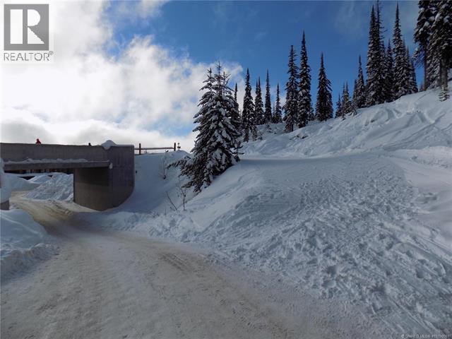 5940 Snow Pines Way Unit# 23, Big White, British Columbia  V1P 1P3 - Photo 17 - 10360091