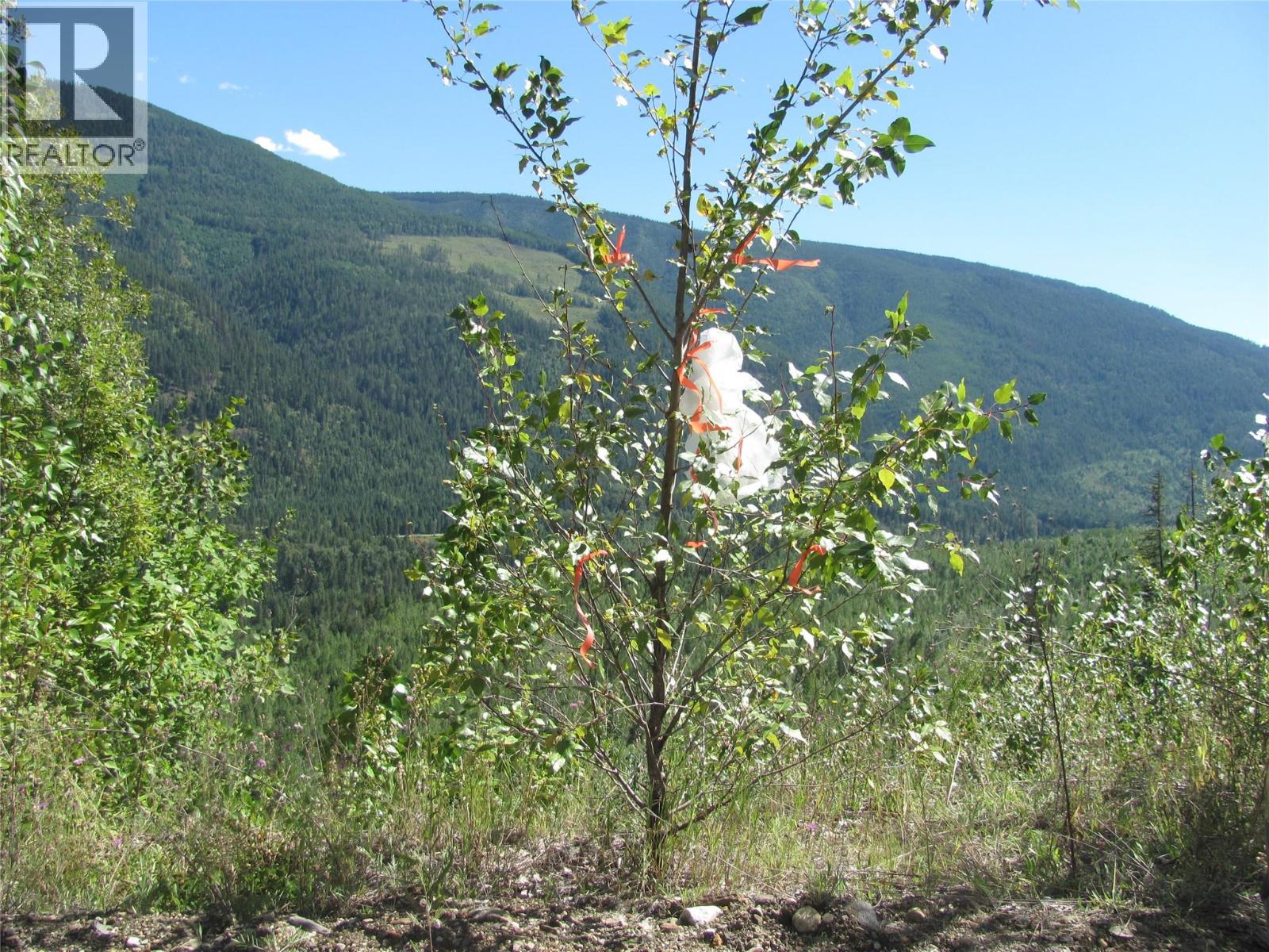 130acres Sugar Lake-Sihlis Road, Vernon, British Columbia  V1H 2B1 - Photo 25 - 10360616