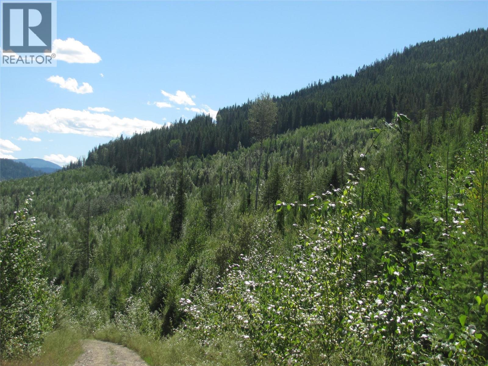 130acres Sugar Lake-Sihlis Road, Vernon, British Columbia  V1H 2B1 - Photo 29 - 10360616