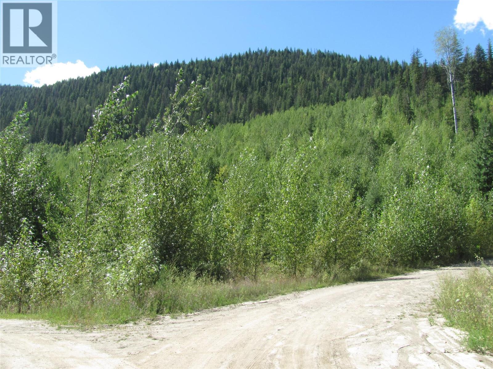 130acres Sugar Lake-Sihlis Road, Vernon, British Columbia  V1H 2B1 - Photo 3 - 10360616