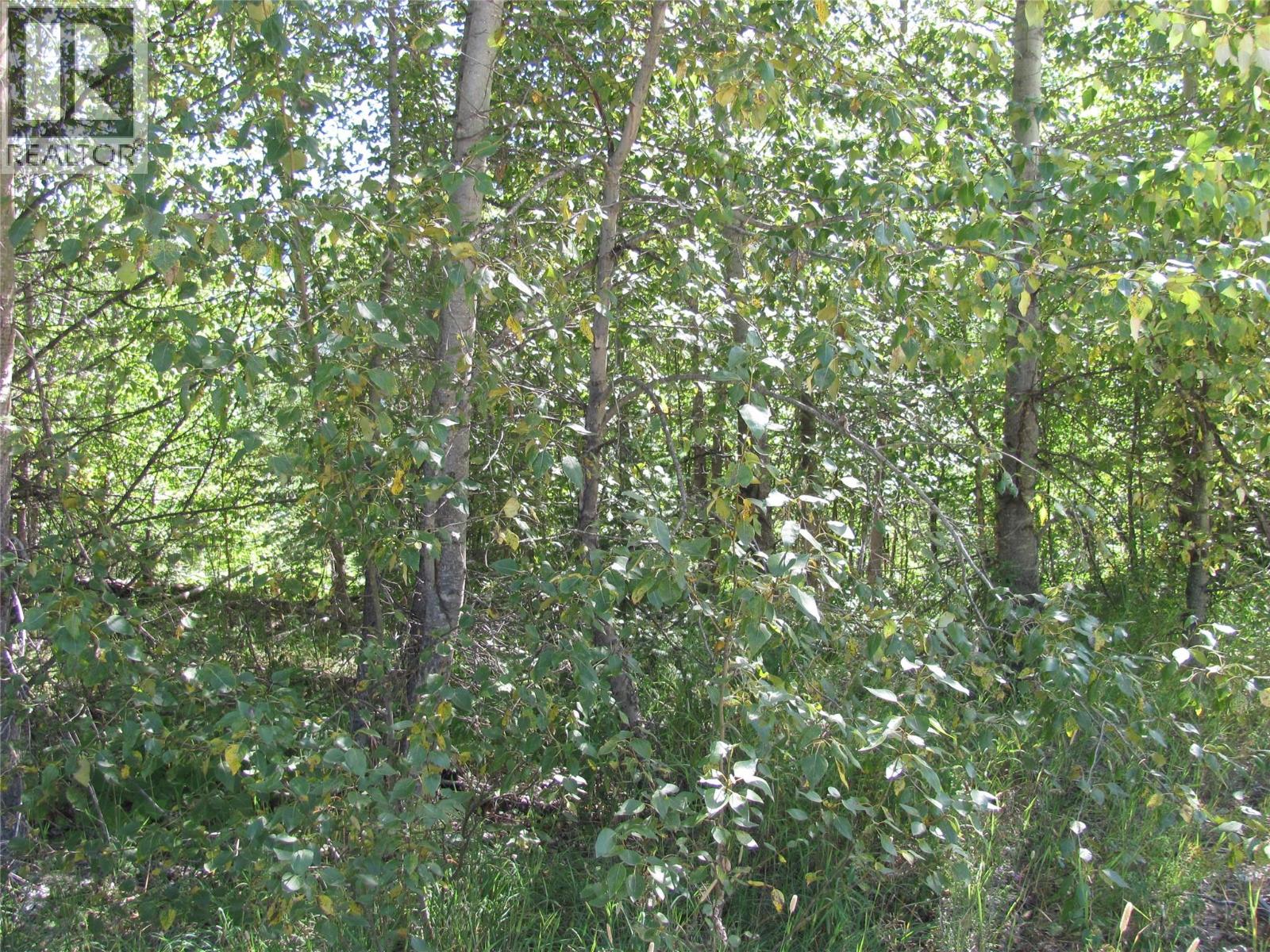 130acres Sugar Lake-Sihlis Road, Vernon, British Columbia  V1H 2B1 - Photo 30 - 10360616