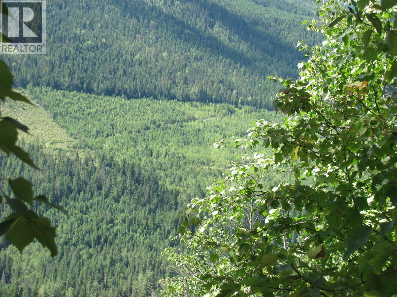 130acres Sugar Lake-Sihlis Road, Vernon, British Columbia  V1H 2B1 - Photo 33 - 10360616