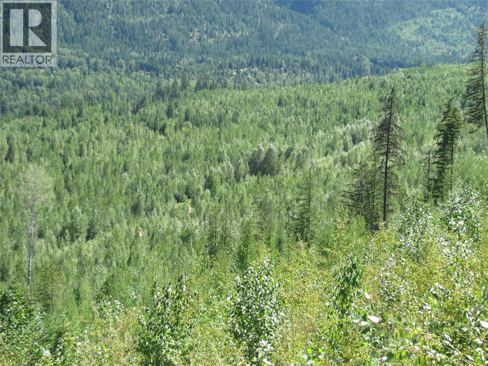 130acres Sugar Lake-Sihlis Road, Vernon, British Columbia  V1H 2B1 - Photo 6 - 10360616
