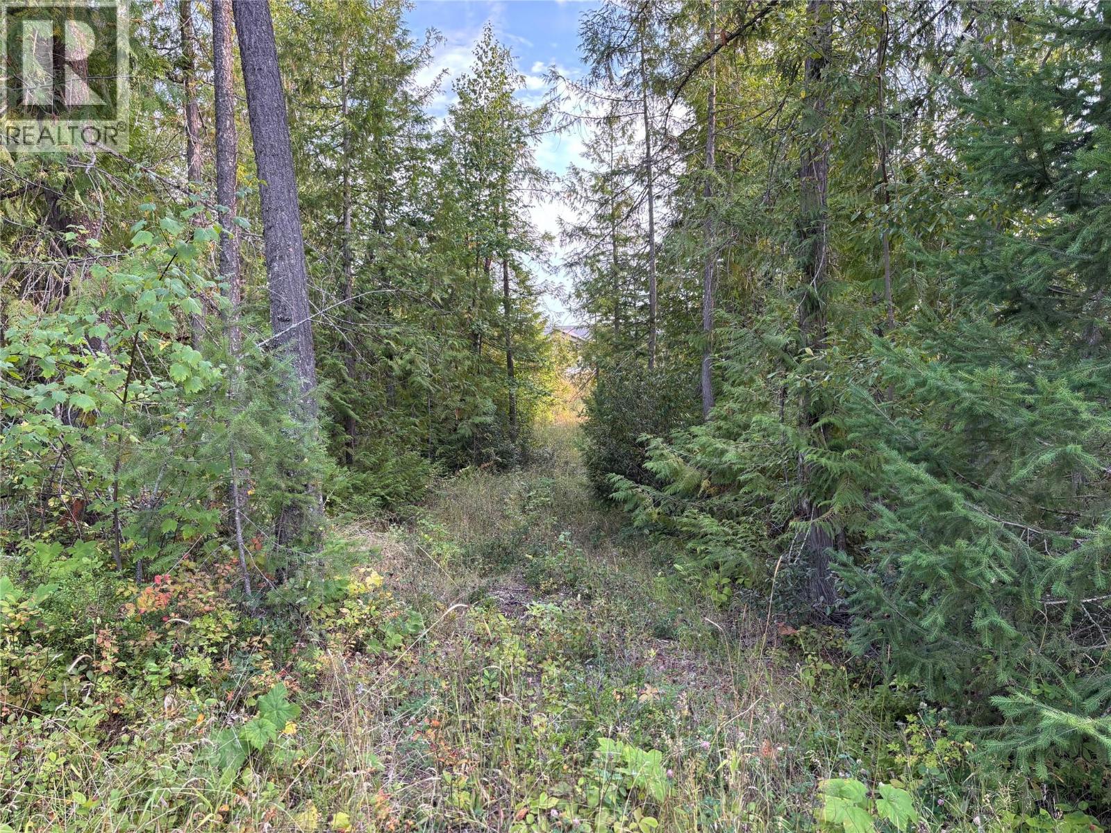 Lot 1 Tatlow Road Se, Salmon Arm, British Columbia  V1E 2P8 - Photo 4 - 10360639