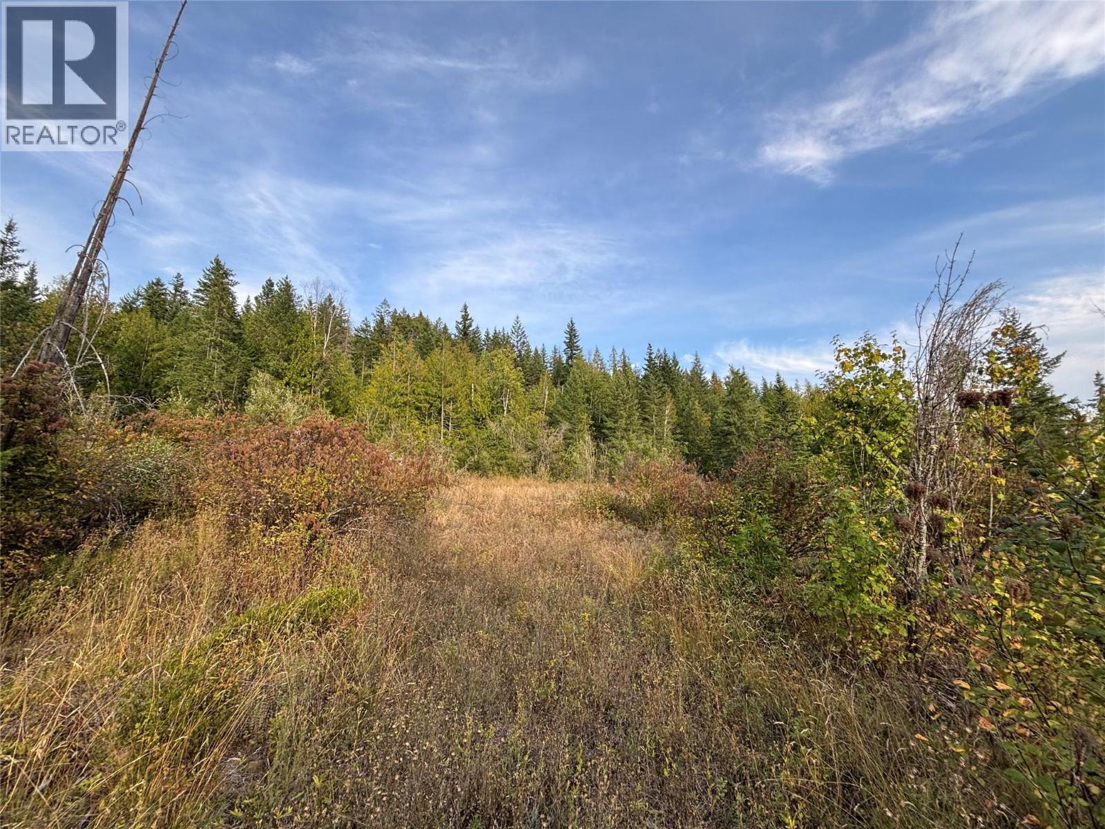 Lot 1 Tatlow Road Se, Salmon Arm, British Columbia  V1E 2P8 - Photo 5 - 10360639