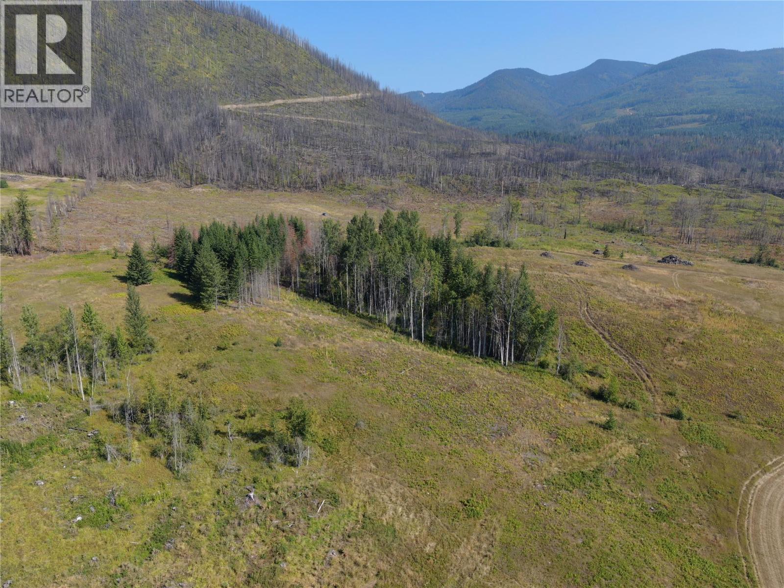 Daline Road, Celista, British Columbia  V0E 1M6 - Photo 11 - 10360940