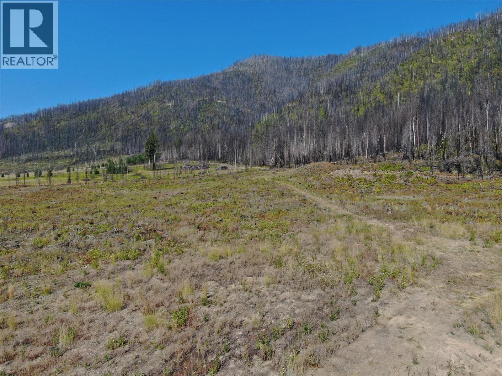 Daline Road, Celista, British Columbia  V0E 1M6 - Photo 5 - 10360940