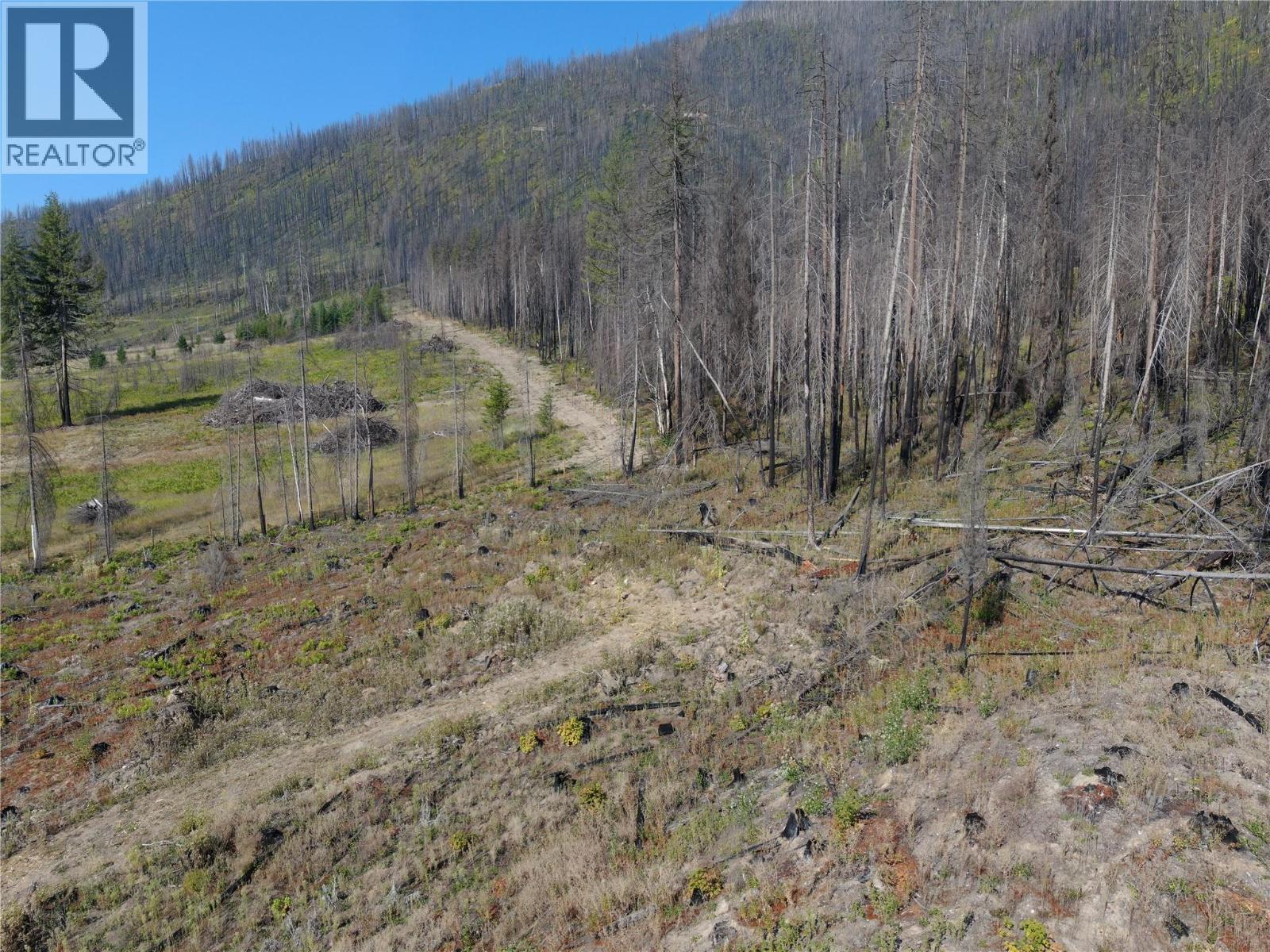 Daline Road, Celista, British Columbia  V0E 1M6 - Photo 6 - 10360940