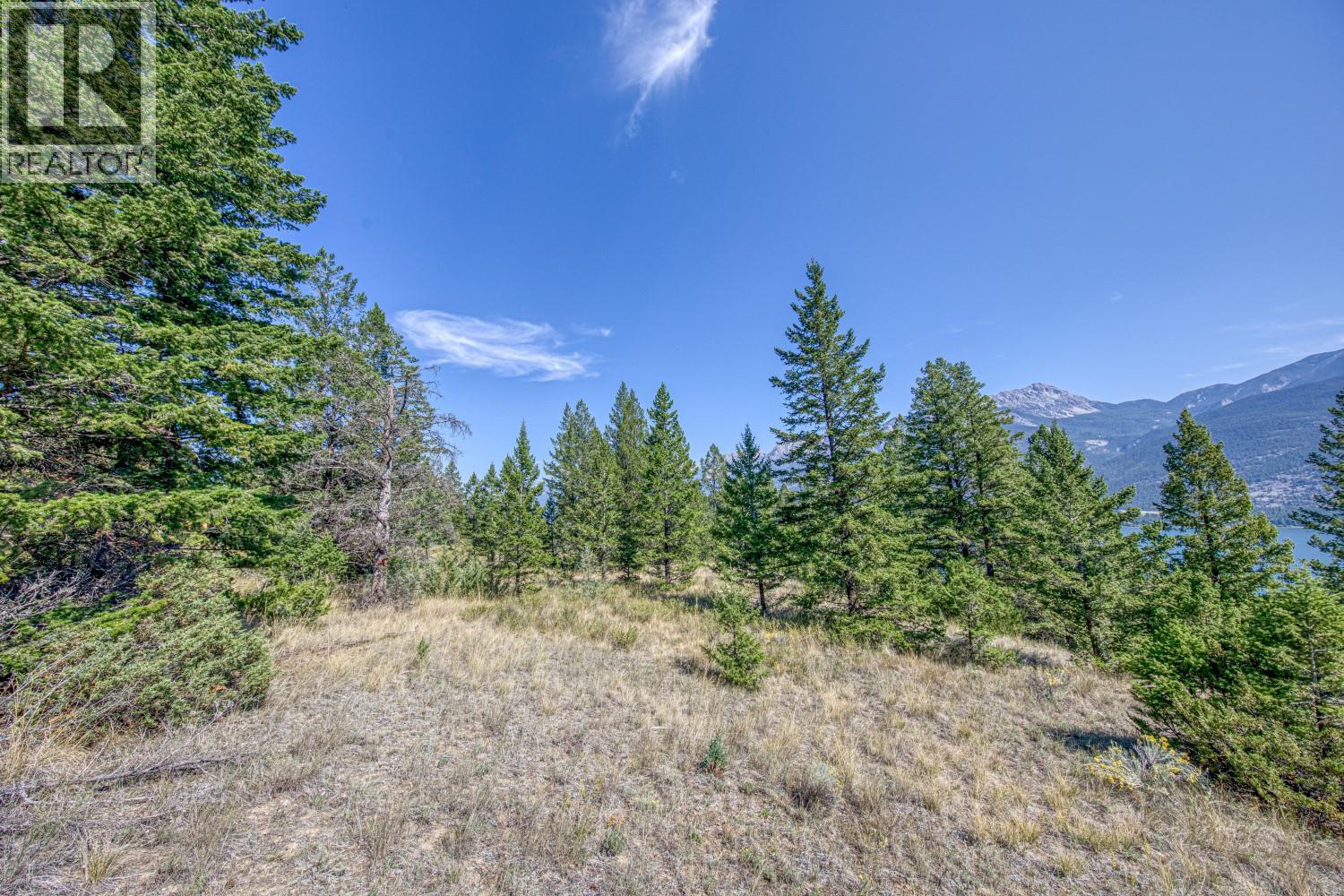 Bella Vista Boulevard Lot# 3, Fairmont Hot Springs, British Columbia  V0B 1L2 - Photo 20 - 10360214