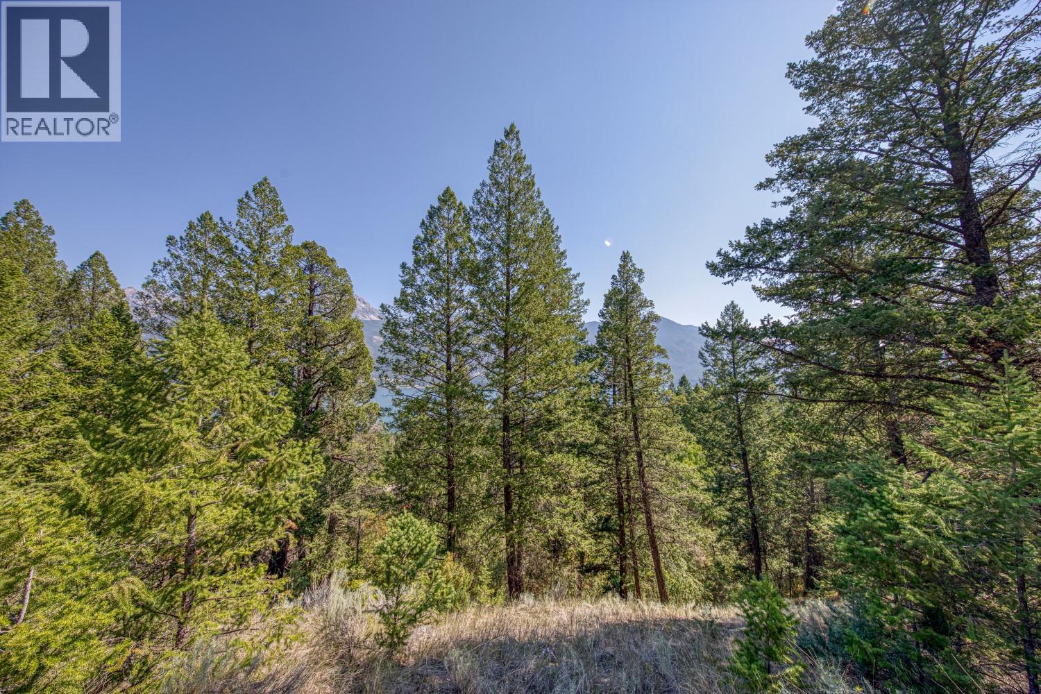 Bella Vista Boulevard Lot# 3, Fairmont Hot Springs, British Columbia  V0B 1L2 - Photo 23 - 10360214