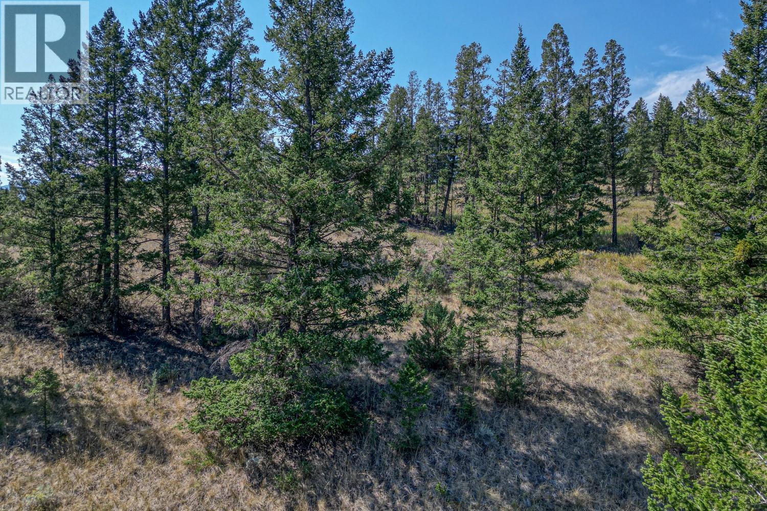 Bella Vista Boulevard Lot# 3, Fairmont Hot Springs, British Columbia  V0B 1L2 - Photo 27 - 10360214