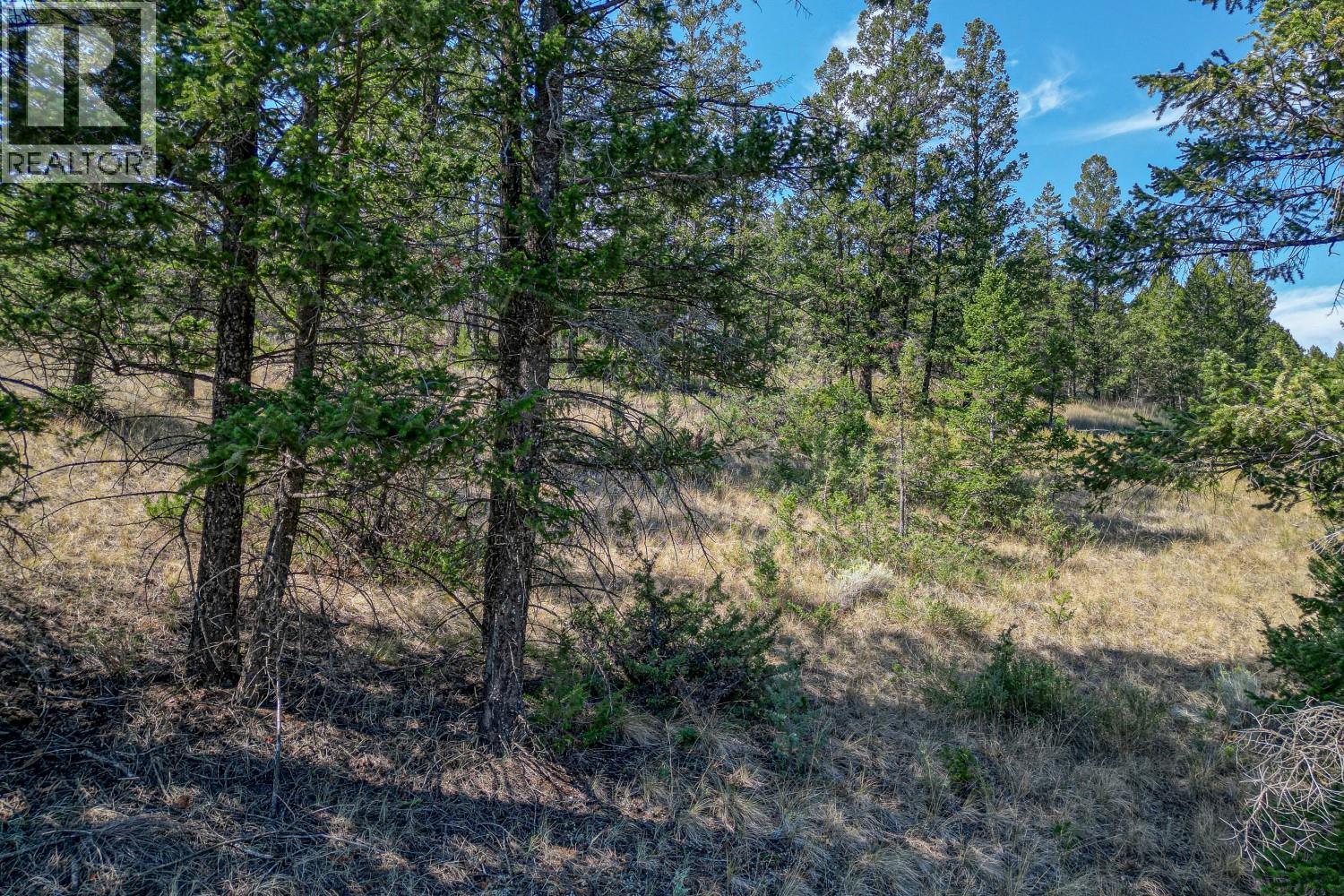 Bella Vista Boulevard Lot# 3, Fairmont Hot Springs, British Columbia  V0B 1L2 - Photo 28 - 10360214