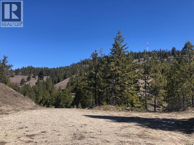 Lot 30 Sasquatch Trail, Osoyoos, British Columbia  V0H 1V6 - Photo 5 - 10359888