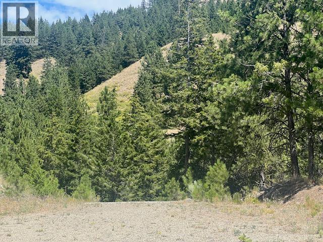 Lot 30 Sasquatch Trail, Osoyoos, British Columbia  V0H 1V6 - Photo 8 - 10359888