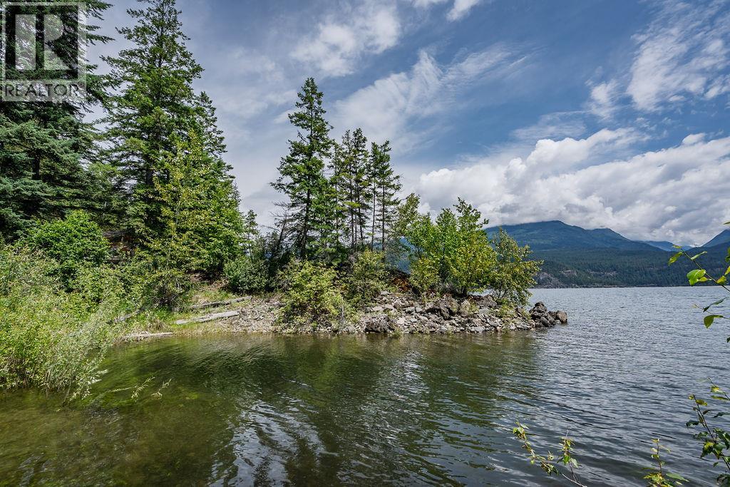 8927 Koehle Road, Kaslo, British Columbia  V0G 1M0 - Photo 48 - 10360984