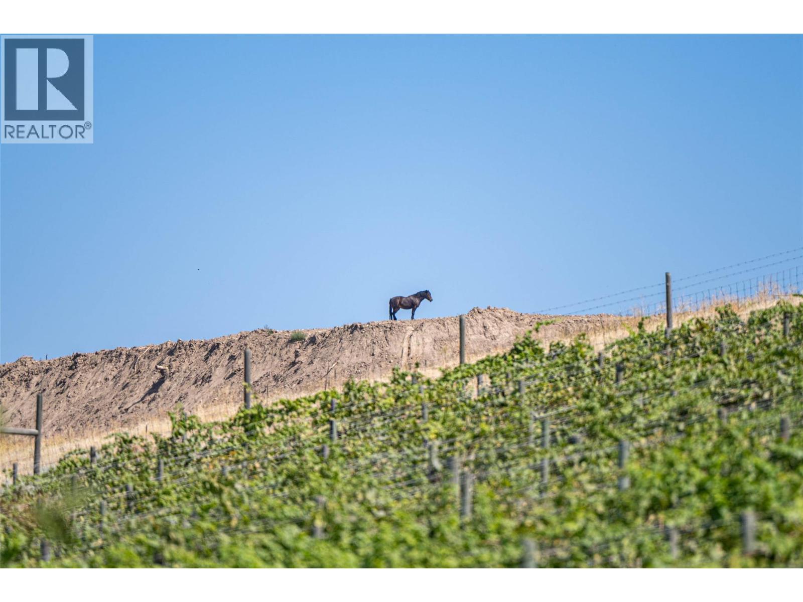 4491 Hebbert Road, Lake Country, British Columbia  V4V 2A8 - Photo 24 - 10359638