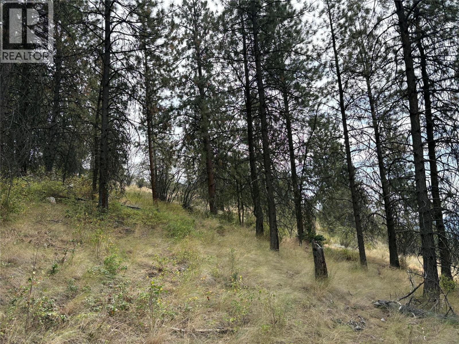 4491 Hebbert Road, Lake Country, British Columbia  V4V 2A8 - Photo 92 - 10359638