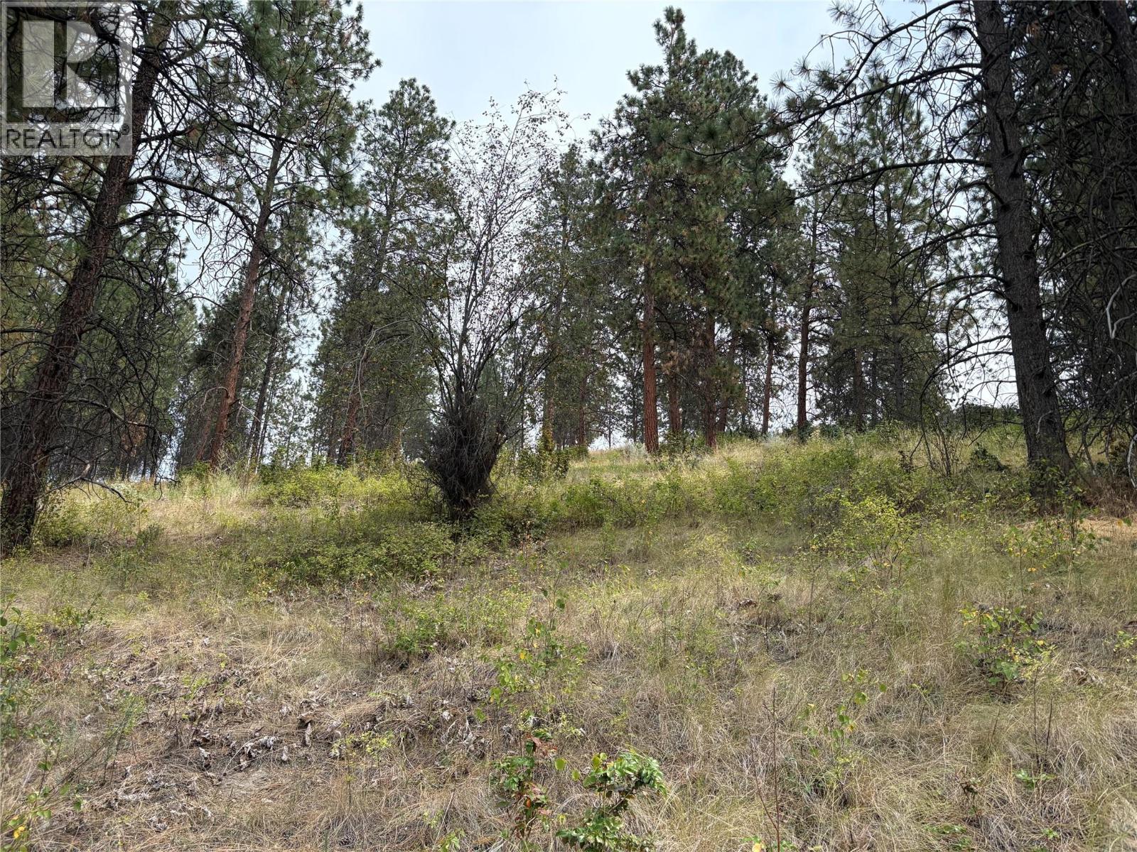 4491 Hebbert Road, Lake Country, British Columbia  V4V 2A8 - Photo 93 - 10359638