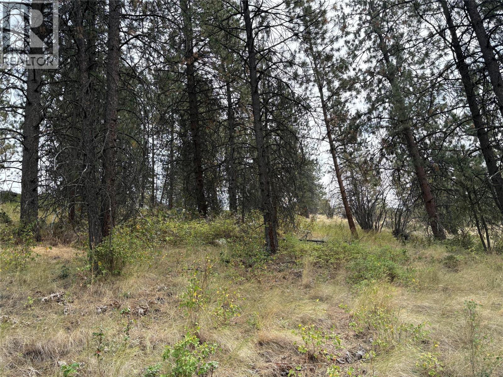 4491 Hebbert Road, Lake Country, British Columbia  V4V 2A8 - Photo 95 - 10359638