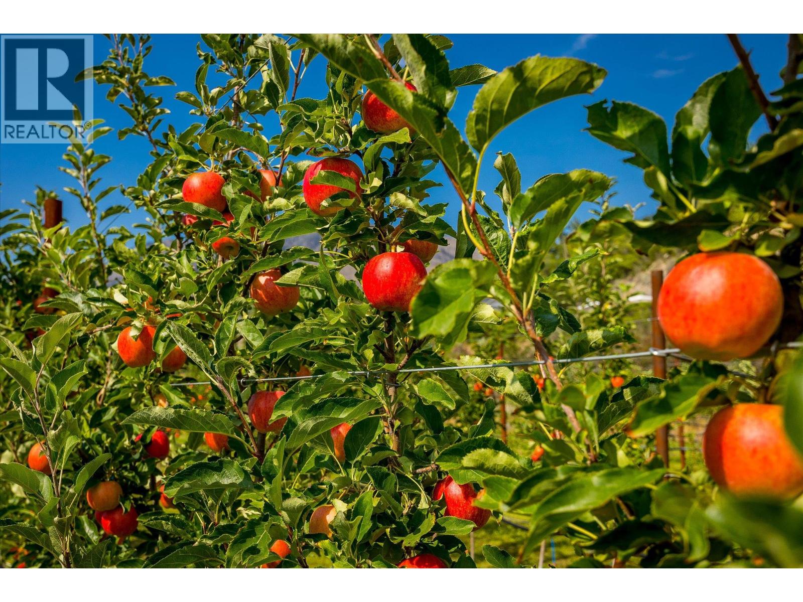 802 Coulthard Road, Cawston, British Columbia  V0X 1C2 - Photo 40 - 10359738