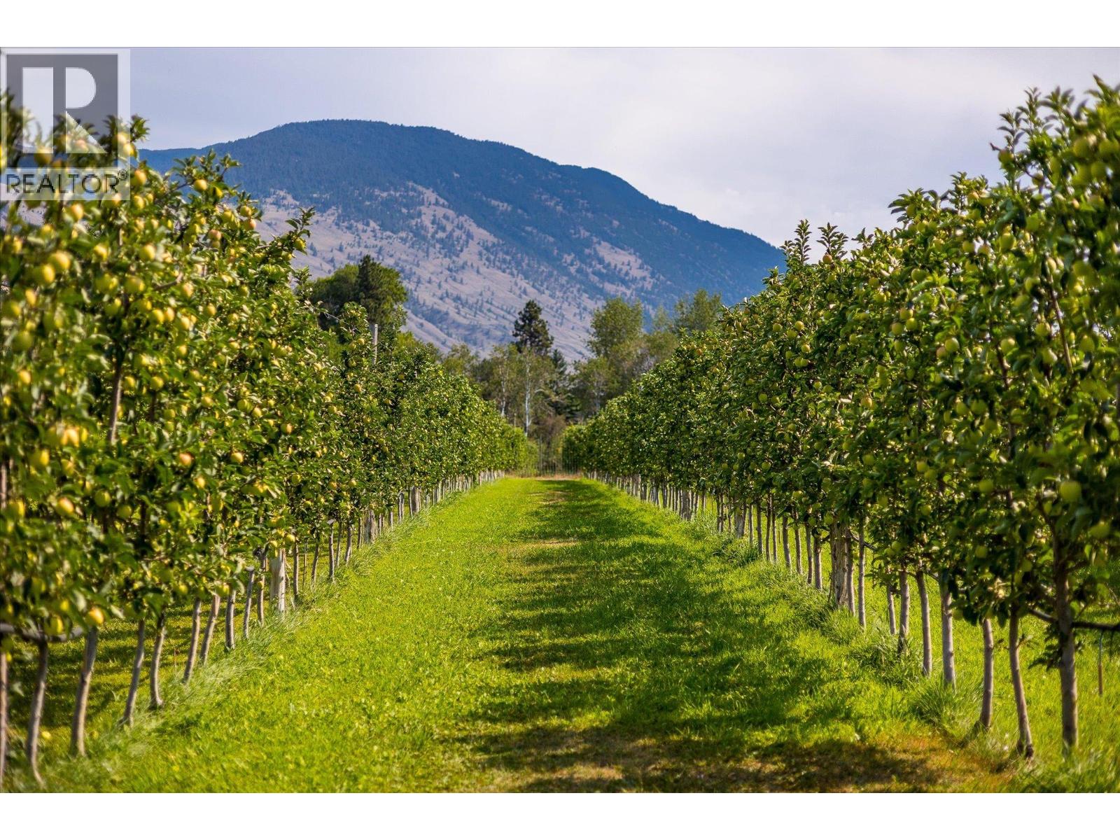 802 Coulthard Road, Cawston, British Columbia  V0X 1C2 - Photo 42 - 10359738