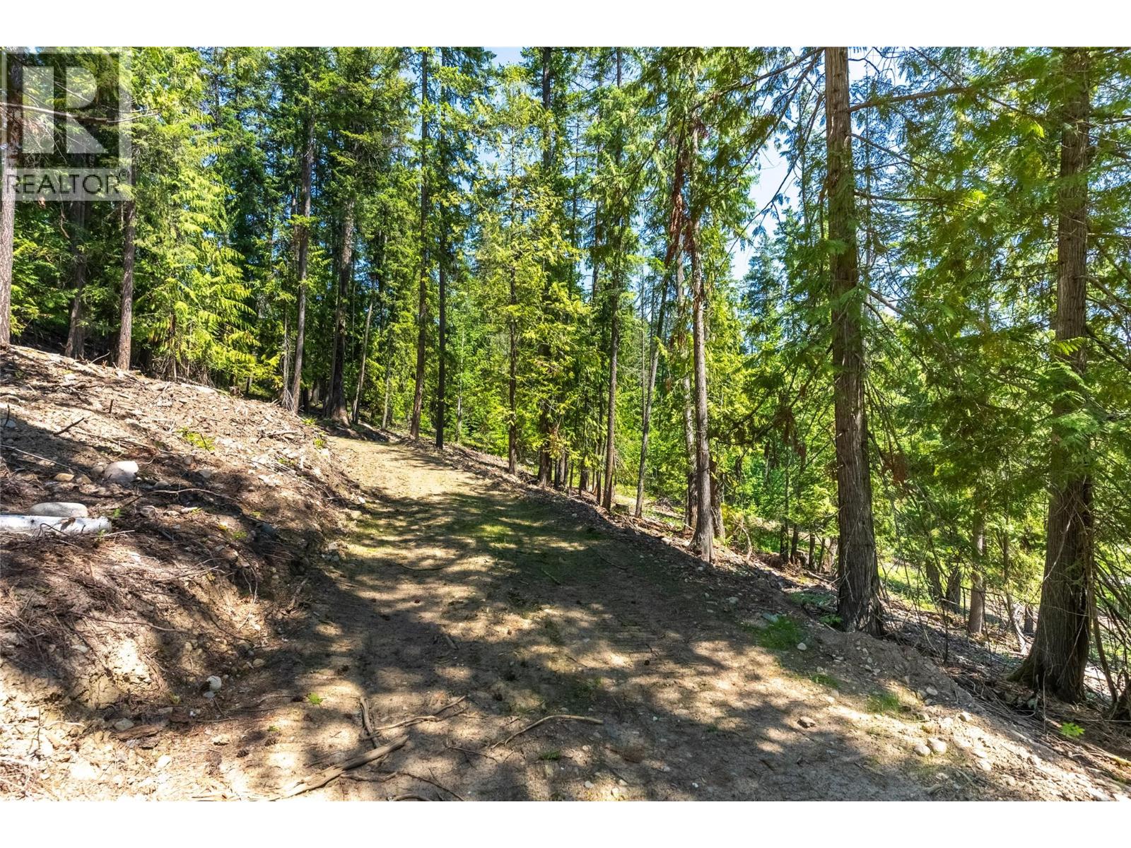 5828 Squilax Anglemont Road Unit# 2 Lots, Celista, British Columbia  V0E 1M6 - Photo 25 - 10359520