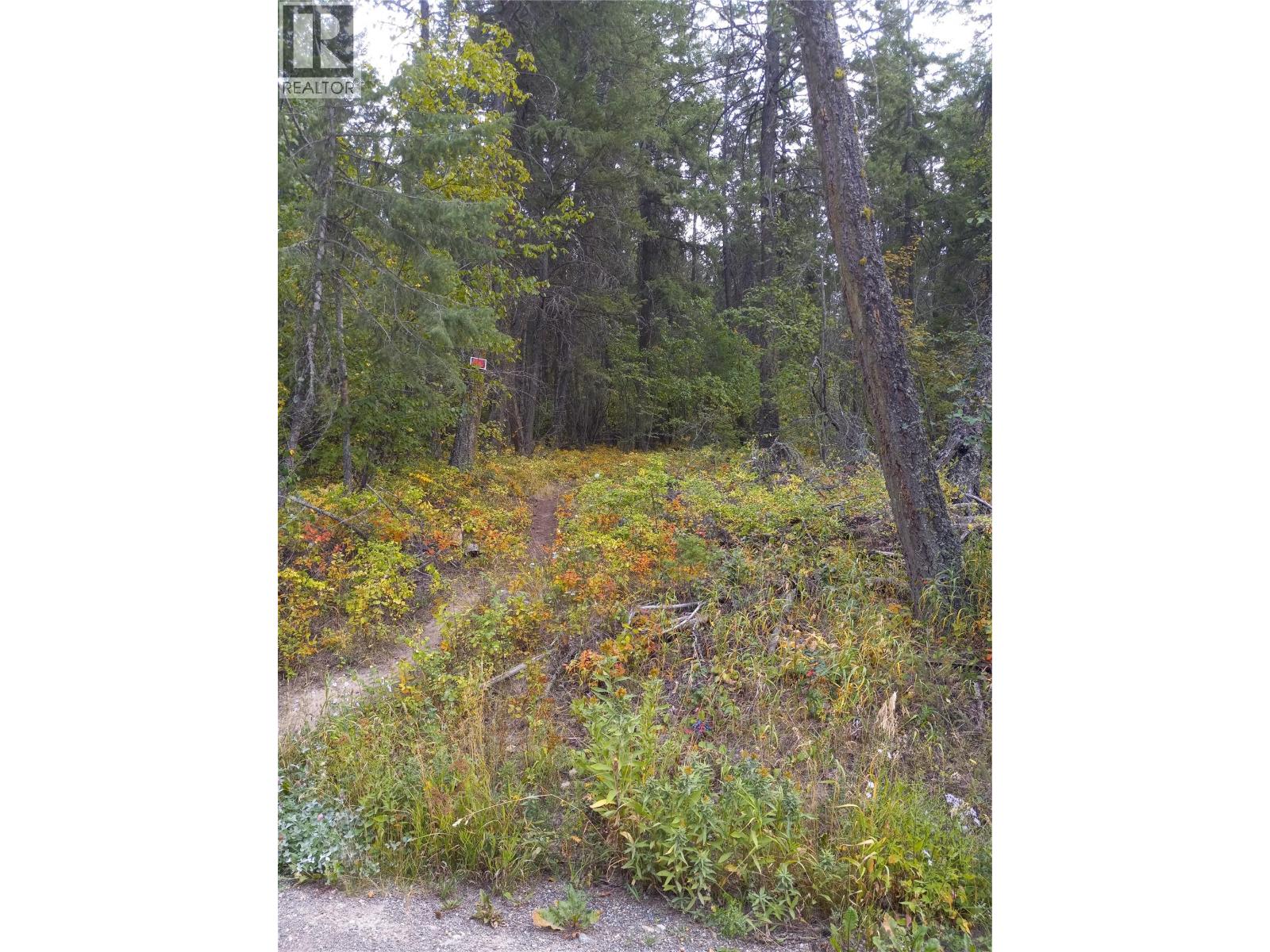 Hitchcock Road, Vernon, British Columbia  V1B 3N8 - Photo 4 - 10361017