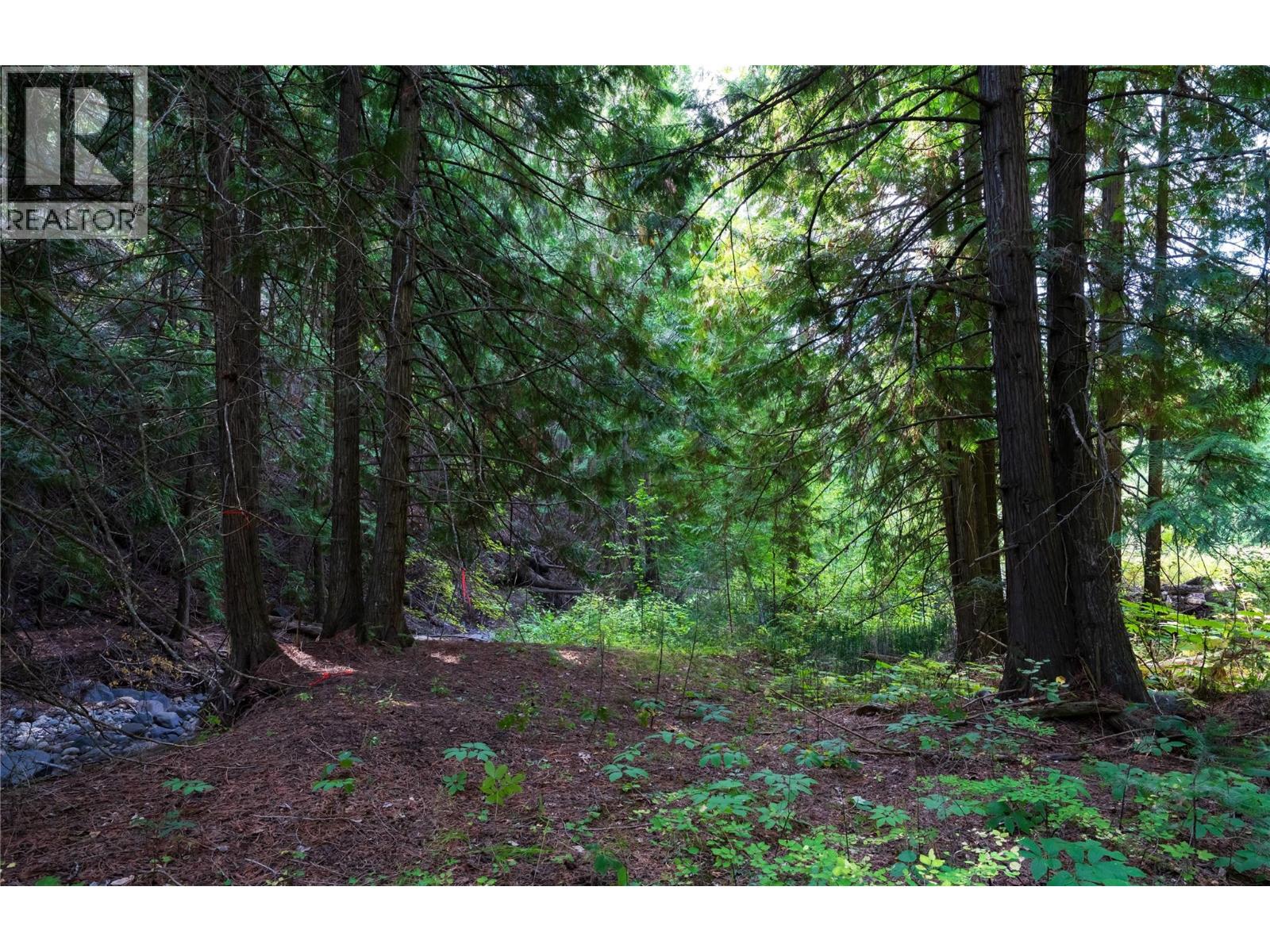 Lot 1 Hwy 33 Highway E, Kelowna, British Columbia  V1P 1H3 - Photo 34 - 10360917