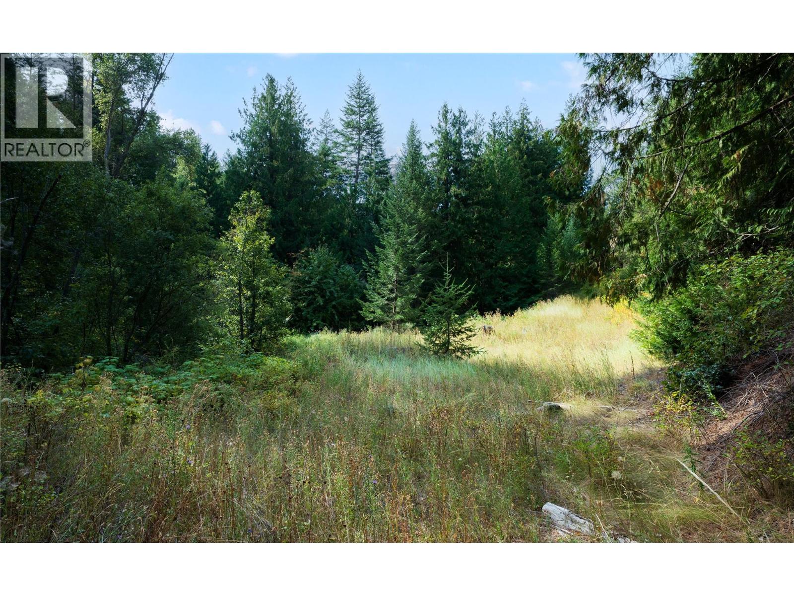 Lot 1 Hwy 33 Highway E, Kelowna, British Columbia  V1P 1H3 - Photo 35 - 10360917