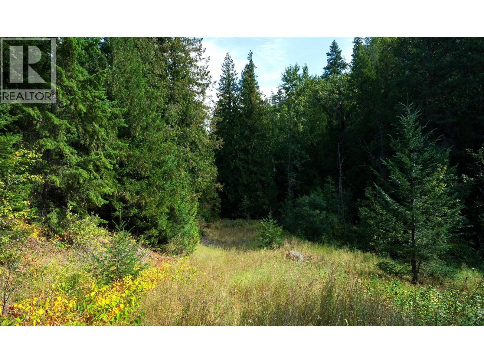 Lot 1 Hwy 33 Highway E, Kelowna, British Columbia  V1P 1H3 - Photo 37 - 10360917