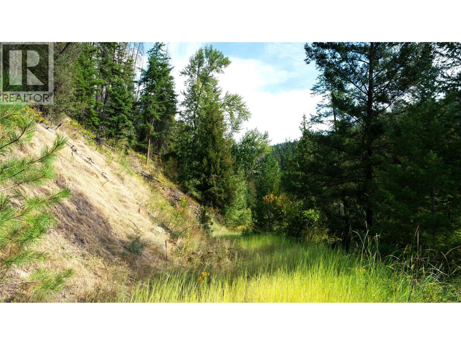 Lot 1 Hwy 33 Highway E, Kelowna, British Columbia  V1P 1H3 - Photo 38 - 10360917
