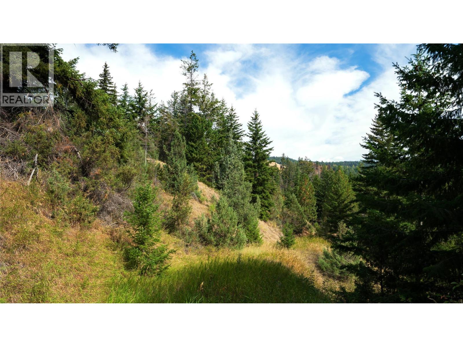 Lot 1 Hwy 33 Highway E, Kelowna, British Columbia  V1P 1H3 - Photo 40 - 10360917