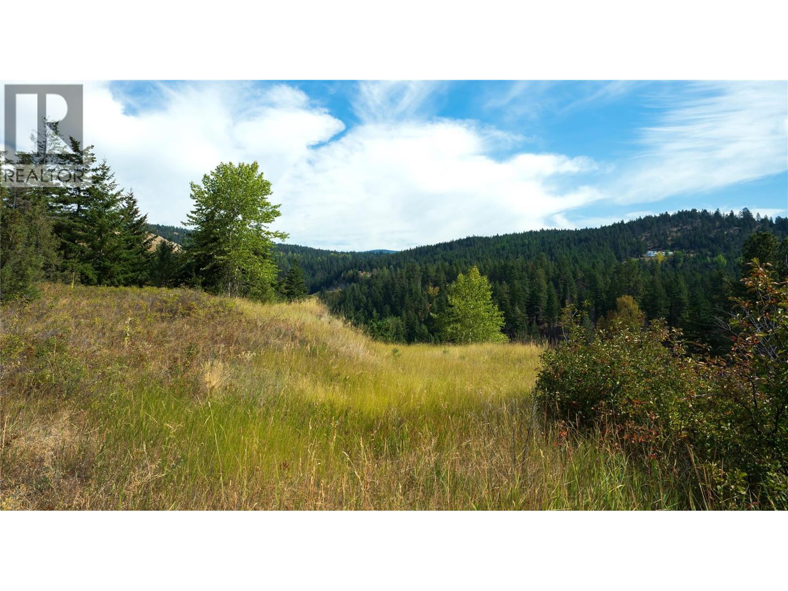Lot 1 Hwy 33 Highway E, Kelowna, British Columbia  V1P 1H3 - Photo 41 - 10360917