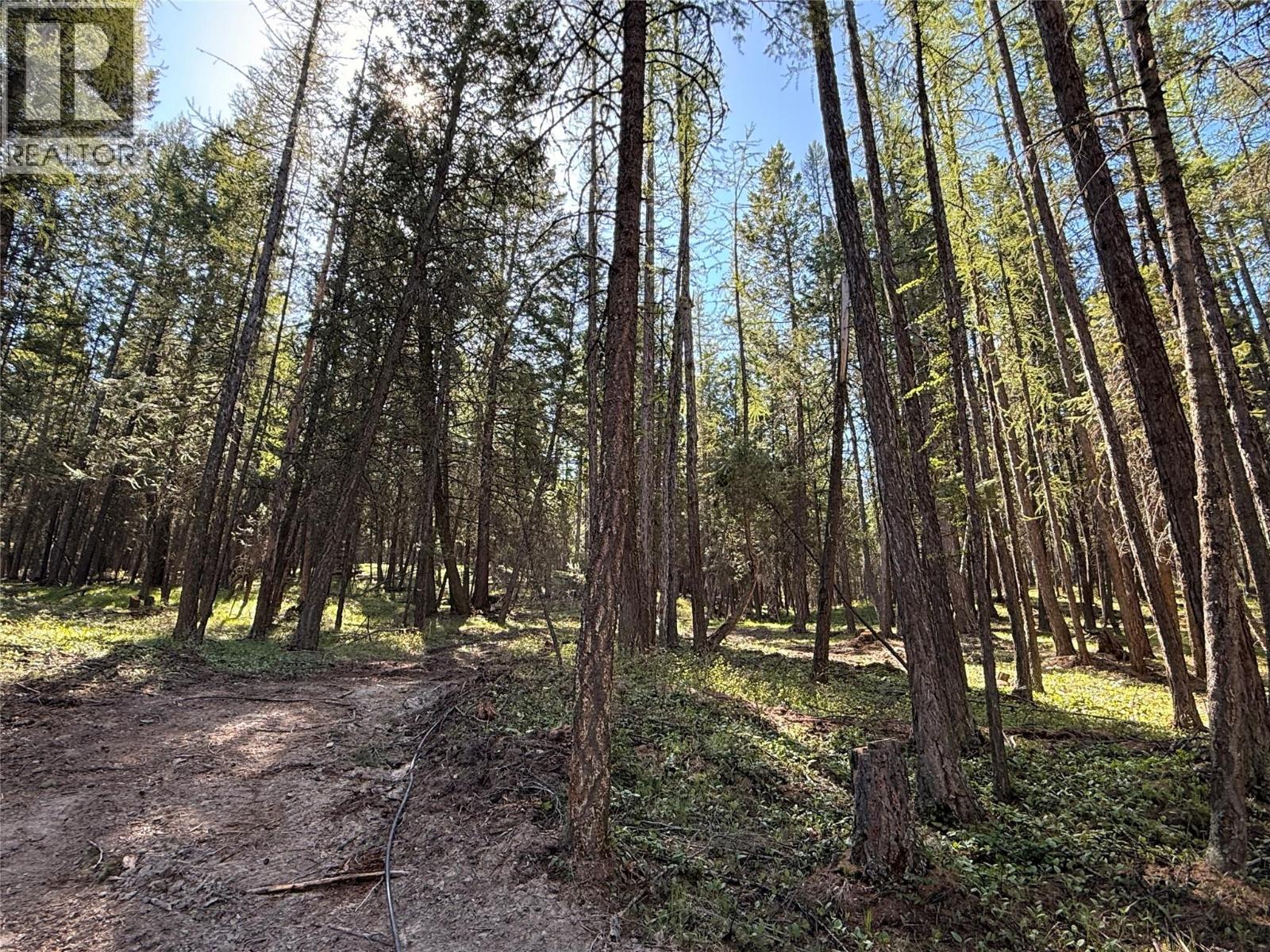 785 Silver Creek Road, Cranbrook, British Columbia  V1C 5A2 - Photo 31 - 10361334