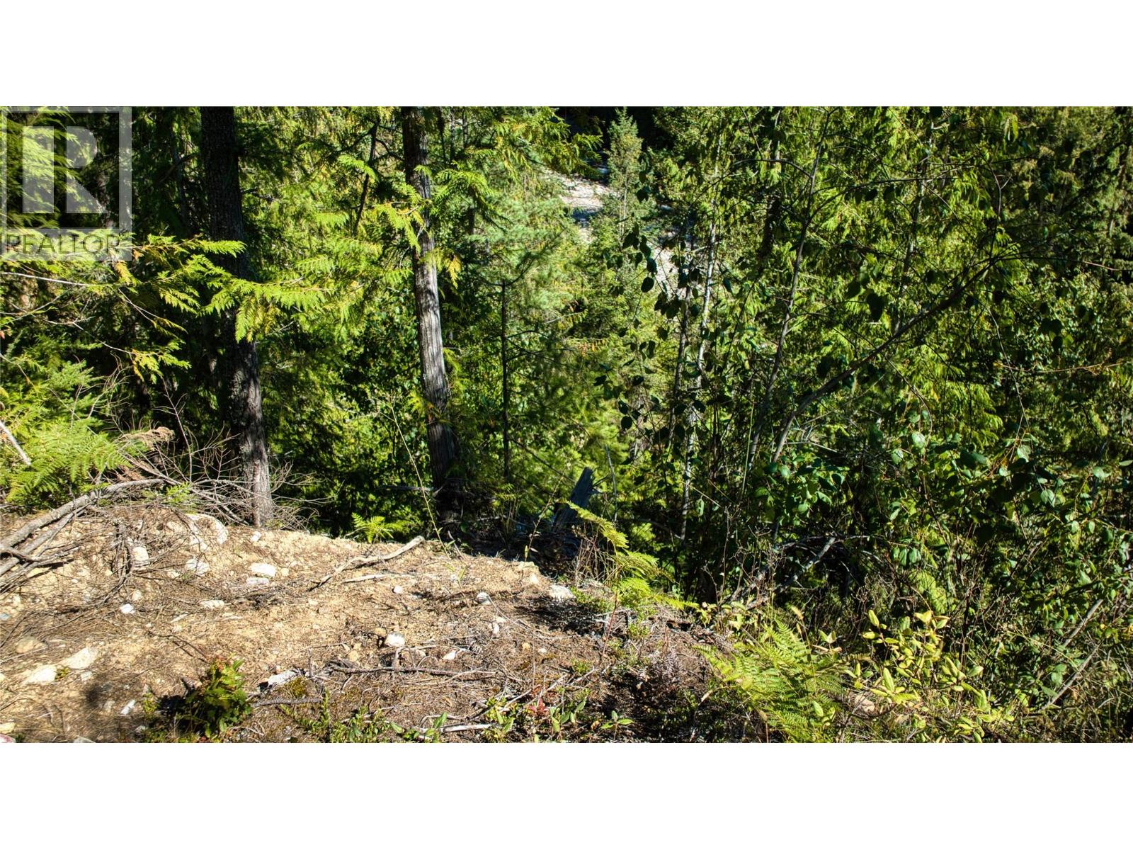 16300 Wadds Road, Crawford Bay, British Columbia  V0B 1E0 - Photo 11 - 10361351