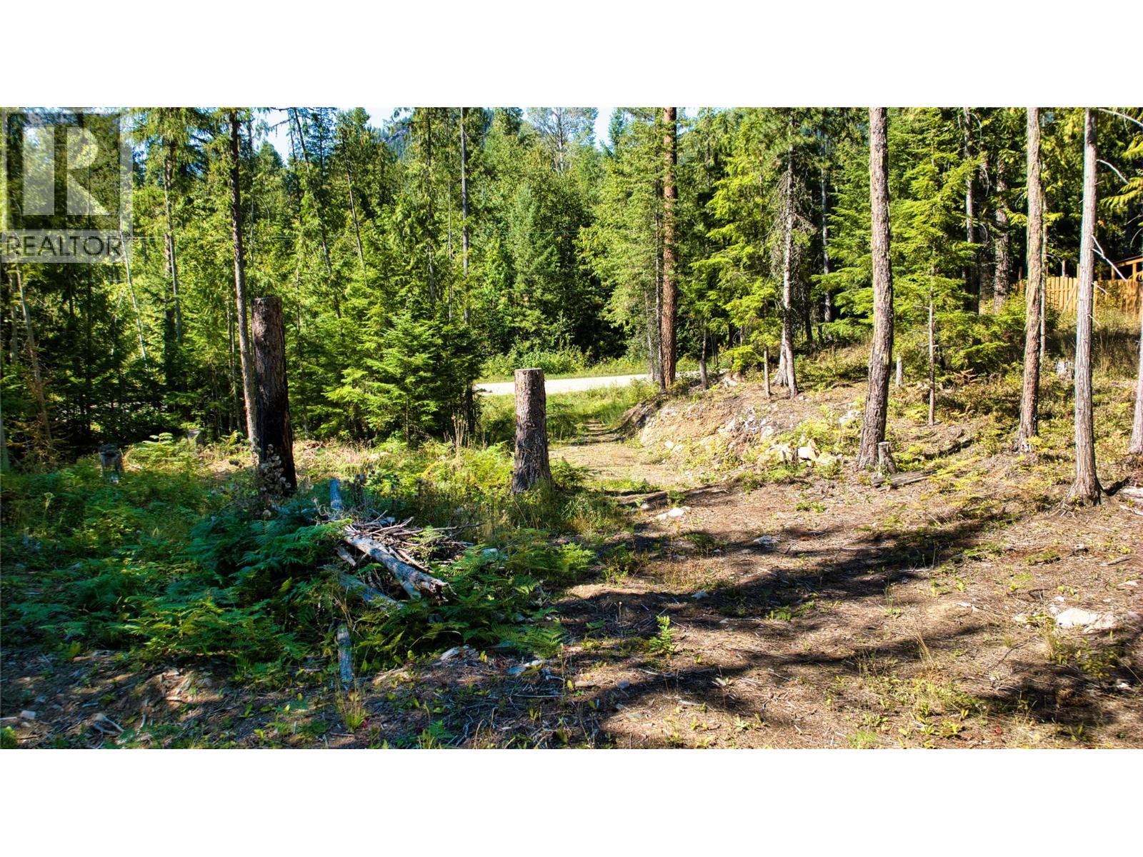 16300 Wadds Road, Crawford Bay, British Columbia  V0B 1E0 - Photo 12 - 10361351