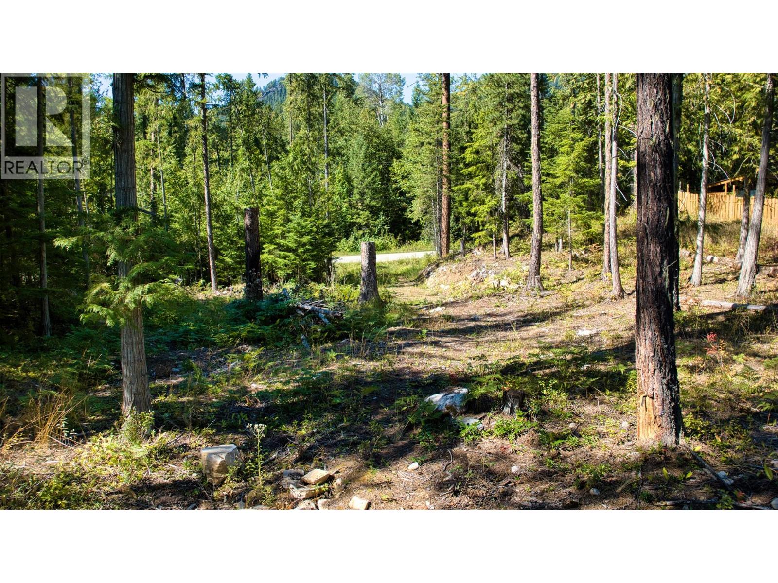 16300 Wadds Road, Crawford Bay, British Columbia  V0B 1E0 - Photo 3 - 10361351