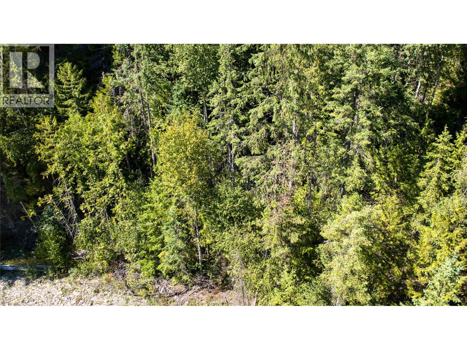 16300 Wadds Road, Crawford Bay, British Columbia  V0B 1E0 - Photo 5 - 10361351