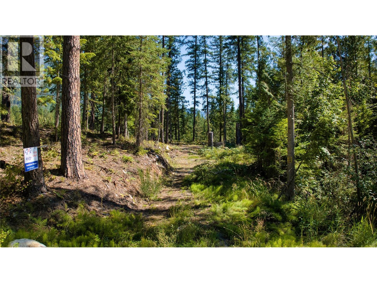 16300 Wadds Road, Crawford Bay, British Columbia  V0B 1E0 - Photo 6 - 10361351